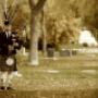 Auckland Funeral Services