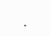 Auckland Funeral Services's website