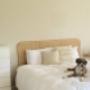 home staging in Auckland