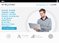 SMEGOWEB - Digital Marketing Agency's website