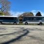 Buses