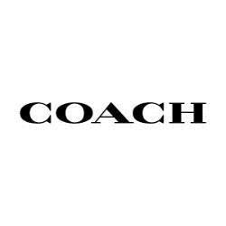 Coach David Jones Wellington