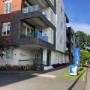 Audika Grey Lynn