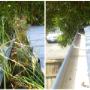 Gutter clean
