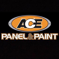 Ace Panel and Paint
