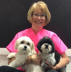 Pampered Paws Ltd