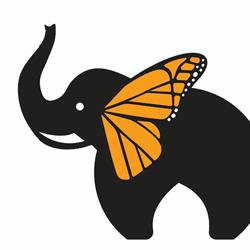 Monarch Ear Care Limited