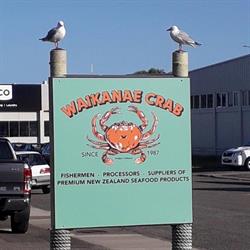 Waikanae Crab