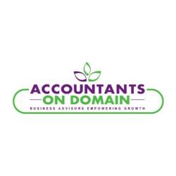 Accountants on Domain Limited