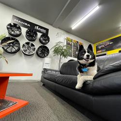 Tyreworld Richmond Nelson