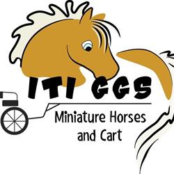 ITI GGS Miniature Horses and Cart