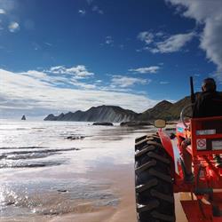 Gannet Beach Adventures