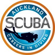 Auckland Scuba Dive