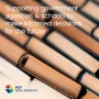 Government-Education-Accountant-PKF-Otago-Dunedin-Office-ASB-House-248-Cumberland-Street-Dunedin-901