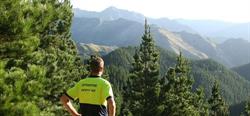Interpine Innovation