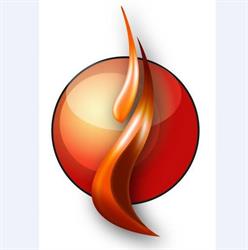 The Dunedin Fireplace Ltd