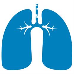 Asthma Waikato