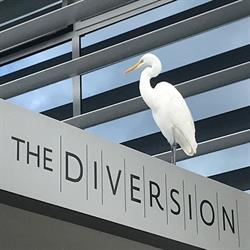 The Diversion Gallery