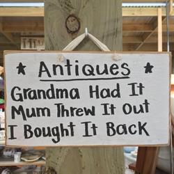 The Curiosity Shoppe