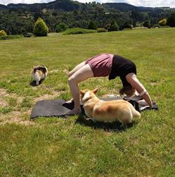 Iyengar Yoga Dunedin