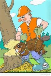 Russell Thomas Chainsaws & Mowers