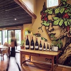 Mount Edward Winery