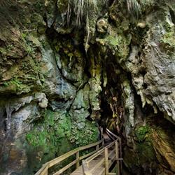 Kawiti Glowworm Caves