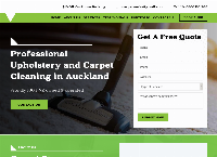 Pro Carpet Cleaning