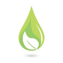 Green Fuels
