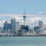 Auckland SEO
