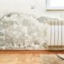 Asbestos Removal