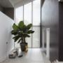 Vertical Blinds