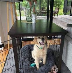 Beloved Pet Furniture Limited