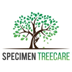 Specimen Treecare