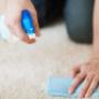 north shore carpet cleaning