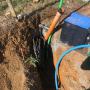 electrician mangere east