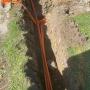 electrician papatoetoe