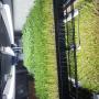 sigmagreens.nz
