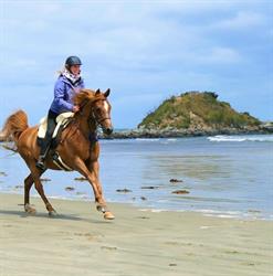 Orepuki Horse Treks