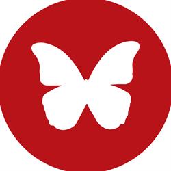 Wellington Cosmetic Clinic