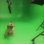 TV Commercial