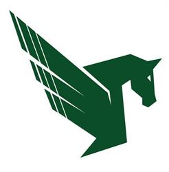 Pegasus Engineering Ltd.