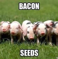 Parkvale Butchery