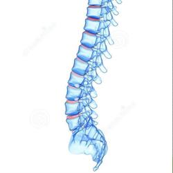 Darfield Family Chiropractic