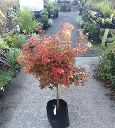 The Garden Centre Timaru