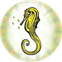Haewai Meadery