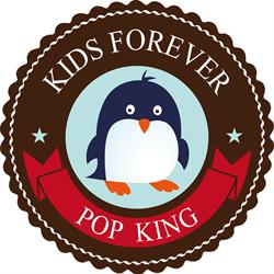 Popking Kids Indoor Playground