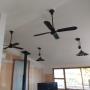 Ceiling fans
