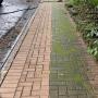 Foot Path Clean