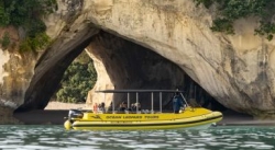Ocean Leopard Tours Cathedral Cove Boat Tour